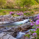 월성계곡 화장실 이미지