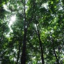 폰드(FOND) 이미지