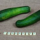 애호박 이미지