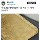 이 물건은 대체 뭐길래 이 집 저 집 어디에나 있는 걸까? 이미지