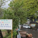 병풍산자락느티나무아래서 이미지