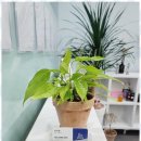 더프로부동산중개사무소 이미지