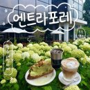 [청주] 남이면 카페 수국 명소로 유명한 엔트라포레, 대형 베이커리 카페 후기
