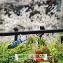 봄노래연습장 이미지