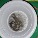 수정크리닝 이미지