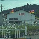 풀빌라청아연 | [담양,숙소]풀빌라 청아연 대만족 후기⭐️/조식/바베큐/장보기/고양이 천국😻