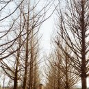 올림푸스펜션 이미지