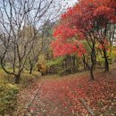 불로초등학교 체육관 이미지