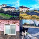 제주숙소 말레콘 이미지