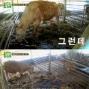 태웅농장 이미지