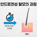 콤마더문 이미지