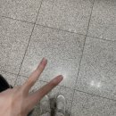 예쁨줄개 | ❥ · ﾟ₊₍ᐢ. ̫.ᐢ₎♡ﾟ･♪⁺