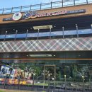 지오애견미용샵 이미지