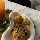 어바웃 댕댕 이미지