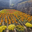 본디올현대한의원 이미지