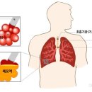 H6690 이미지