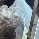 머리천국 이미지