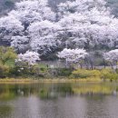 삼화목장 이미지