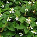 장궁농장 이미지