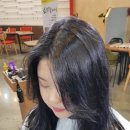 아리아스헤어 이미지