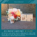 훌라우쿨렐레 이미지