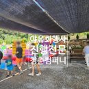 대암 팜트리 이미지