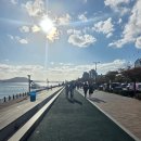 춤추는갈매기 | 전라도 여행지 추천장소 | 목포 밤바다가 매력적인 평화광장과 춤추는 바다분수