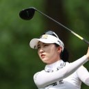 정선군 도전 이미지