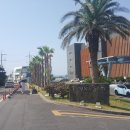 나비스 호스텔 이미지