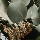 동백죽전대로556번길 이미지