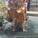 비파노래연습장 이미지