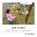 파크파킹빌 | 김해 가야랜드 첫방문, 입장료만 내고도 알찼어요! 올챙이 보고 온 후기