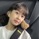 안전카 이미지
