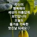 진수성찬 이미지