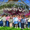 방포초등학교 이미지