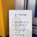 송덕로 | 포항 댕댕동산 | 반려견과 함께하는 봄나들이🐶🌿