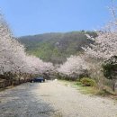 산으로 캠핑장 이미지