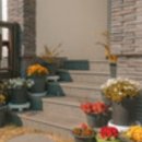 큰돌민박 이미지