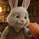 숲속안경원 이미지