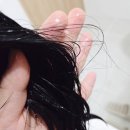 트리트먼트추천, 디디발리후 앰버바닐라 향 가득한 수퍼실키 럭셔리 헤어케어 솔직 후기