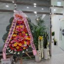 쿡1포레나 이미지