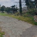 광령지석묘 1호 이미지