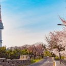 봄정형외과의원 이미지