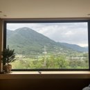 코코앤망고 이미지