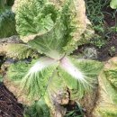 읍내7리 마을회관 이미지