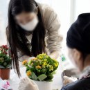서울힐링요양병원 이미지