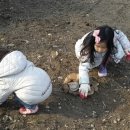 자매농장 이미지