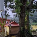 남서리 제당 이미지