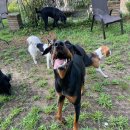 푼타하우스 이미지