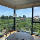 스테이하례 이미지